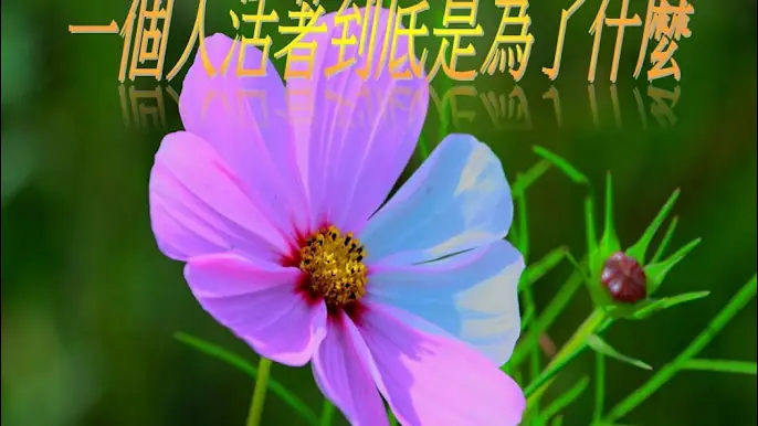 一個人活著到底是為了什麼