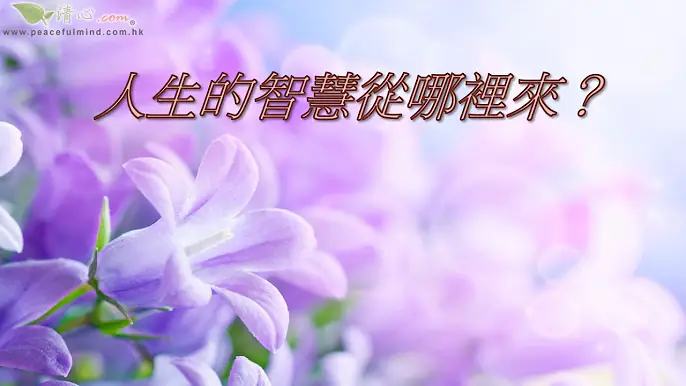 人生的智慧從哪裡來？