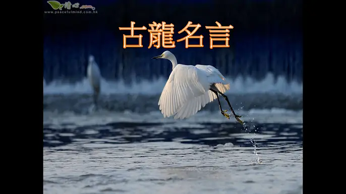 古龍名言