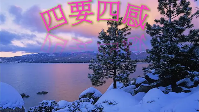 四要四感
