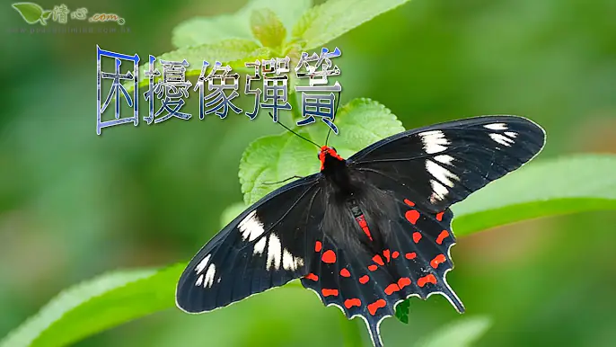困擾像彈簧