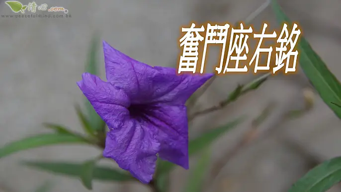 奮鬥座右銘