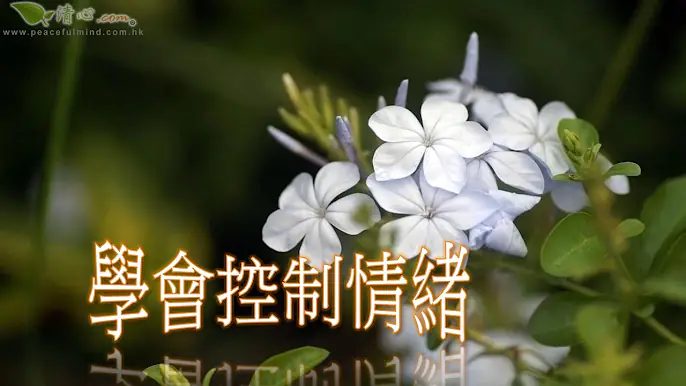 學會控制情緒