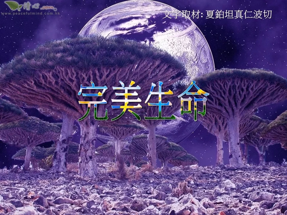 完美生命