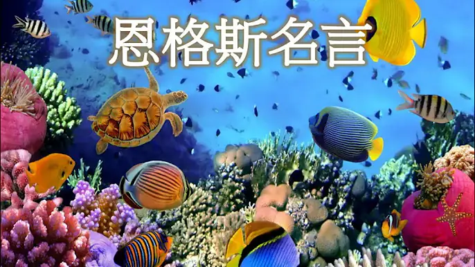 恩格斯名言