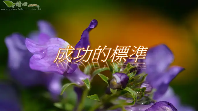 成功的標準