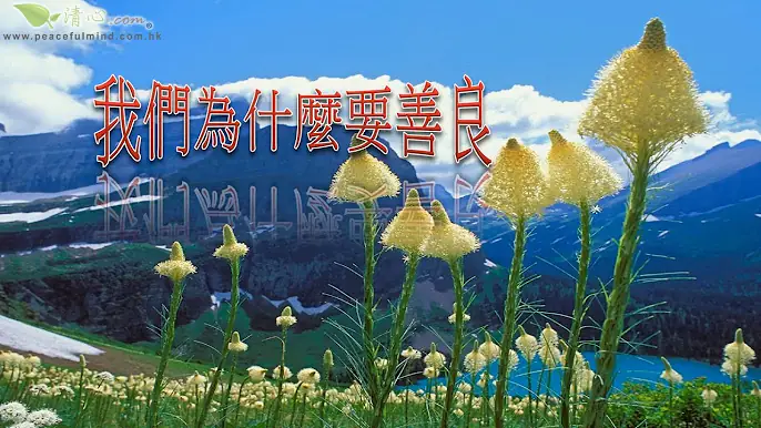 我們為什麼要善良