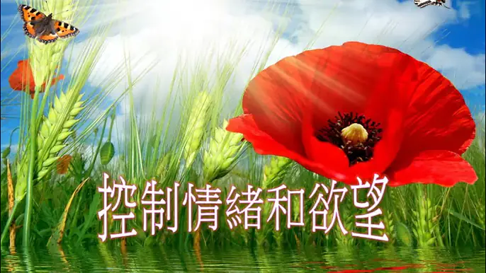 控制情緒和欲望