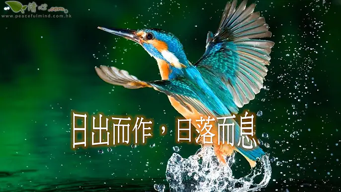 日出而作，日落而息