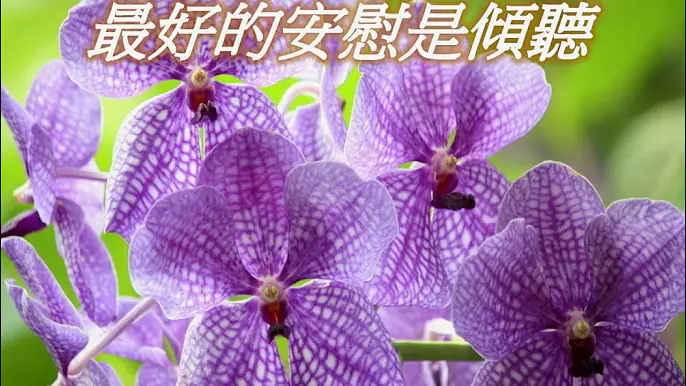 最好的安慰是傾聽