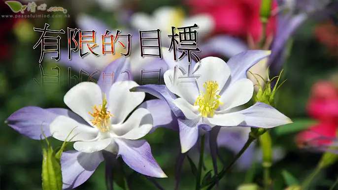 有限的目標