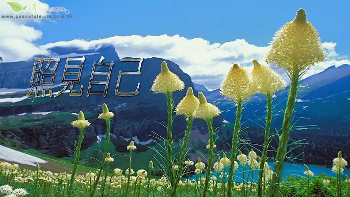 照見自己