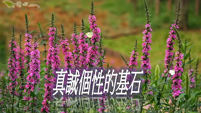 真誠個性的基石