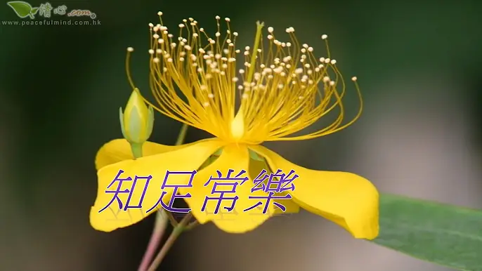 知足常樂