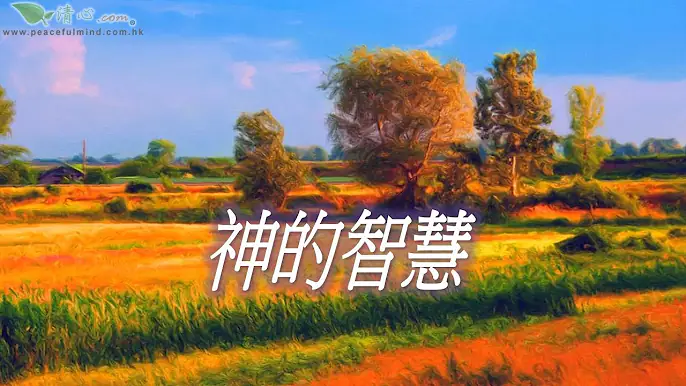 神的智慧