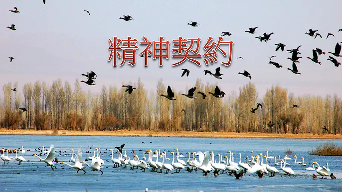 精神契約