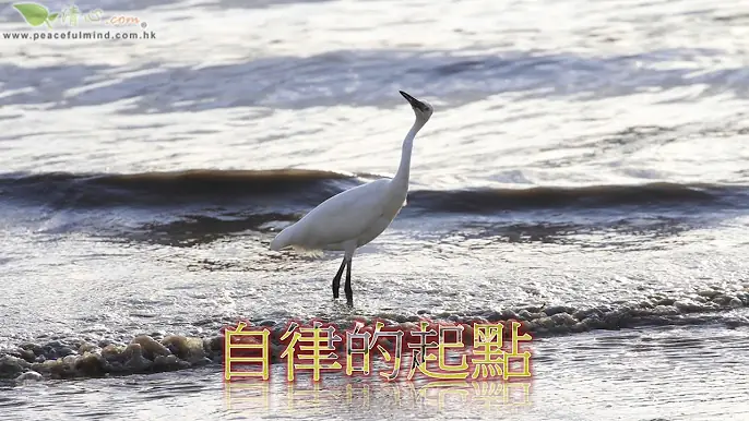 自律的起點
