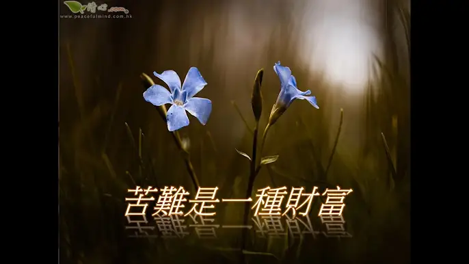 苦難是一種財富
