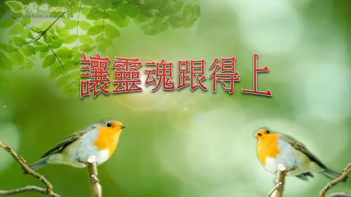 讓靈魂跟得上