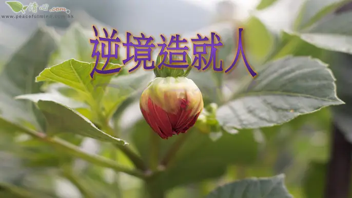 逆境造就人