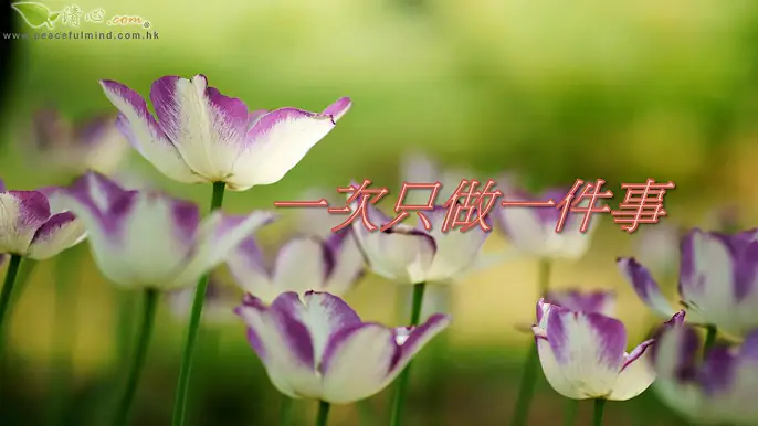 一次只做一件事