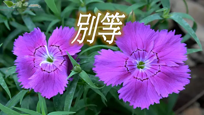 別等