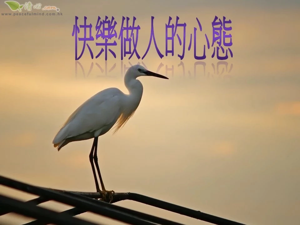 快樂做人的心態