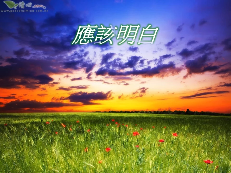 應該明白