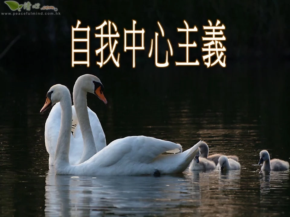 自我中心主義
