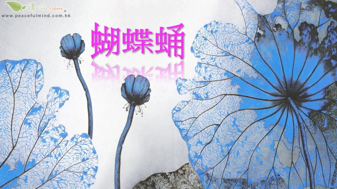 蝴蝶蛹