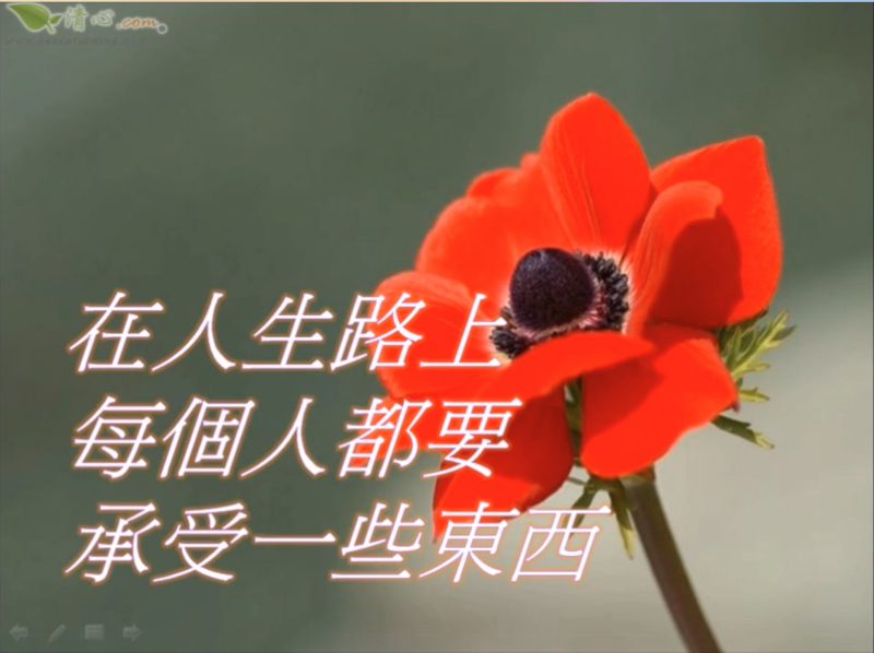 在人生路上每個人都要承受一些東西-心靈